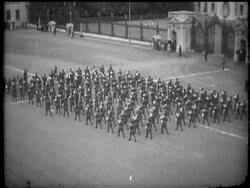 Royal news from Egypt. News Clip