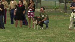 Kate Upton trains the Marine way Instructional Video