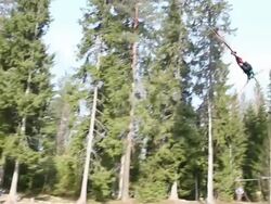 Bungee rope swing in action Stock Footage