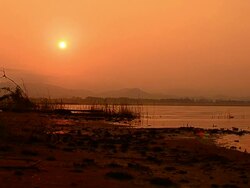 Dolly Shot: Lake Scenic at Silhouette Sunrise Stock Footage
