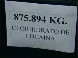 Police arrest 21 members of Mexican Tijuana drug cartel News Clip