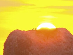 Summer Solstice at Stonehenge England News Clip