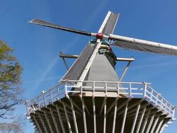 MS LA View of windmill at Keukenhof Gardens / Lisse, South Holland, Netherlands Stock Footage
