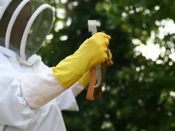 Views of a Bee Keeper in Somerset Stock Footage