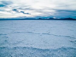 Salt flats Stock Footage