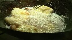 CLEAN : World Cup: road trippers survive on their wits News Clip