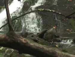 Lil waterfall 128 Stock Footage