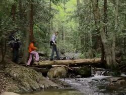 MS Two cute girls with their mother crossing tree log bridge  / Los Angeles, California, United state Stock Footage