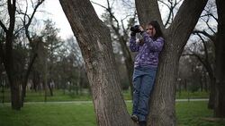 small artist photographing Stock Footage