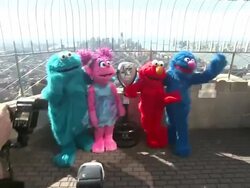 Cookie Monster, Abby Cadabby, Elmo and Grover at Elmo, Cookie Monster, Grover And Abby Cadabby Visit The Empire State Building To Promote '1-2-3 Imagine! With Elmo & Friends' on 02/21/2012 in New York City, NY.   Stock Footage