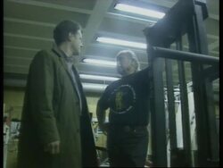 VOICE Schwarzenegger's home town reacts to victory News Clip