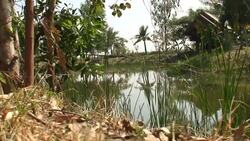 Reflection Stock Footage