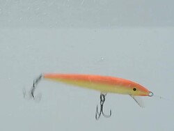 swimming wobbler in a fresh water Stock Footage