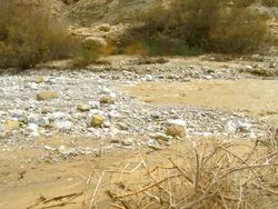 MS Shot of flash flood evolving in desert / Ein Gedi , Judean Desert , israel Stock Footage