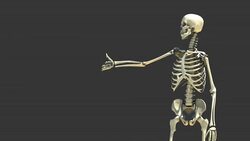 Skeleton Presentation 1 Stock Footage