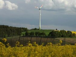 Landscape with Rape Field and Wind Turbine Stock Footage