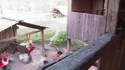 CLEAN : Remote Amazon tribe tries to straddle two worlds News Clip