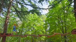 boy in the municipal adventure park Stock Footage