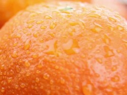 Wet orange Stock Footage