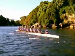 MS team of eight women in rowing boat, Australia Stock Footage