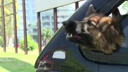 VOICED : Evacuan embajada israeli en Montevideo News Clip