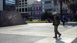 CLEAN: Montevideo is hiring sparrowhawks News Clip