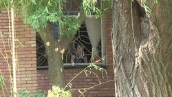 CLEAN : Fear in east Ukraines Donetsk as shells hit homes and hospital News Clip