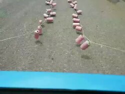 Wedding car Stock Footage