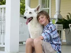 MS Portrait of Young Boy Petting White German Shepherd Dog on Porch of House / Richmond, Virginia, USA Stock Footage