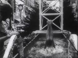 SILLY SEASON - OPENS OVERSEAS News Clip