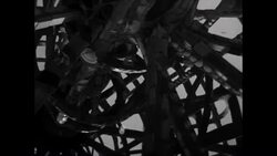 Watts Towers High Angle Stock Footage