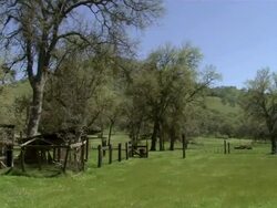 Rancher on horseback long shot. Stock Footage