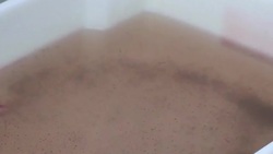 VOICED : Mosquitos transgenicos contra el dengue News Clip