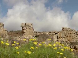 MS TU Shot of agged rocky outcrop with low storm clouds moving overhead and yellow daisies on ground / Namaqualand, Northern Cape, South Africa Stock Footage