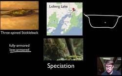 Speciation and Extinction Instructional Video