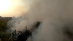 CLEAN : Aerial view: Indonesia forest fires News Clip