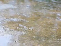 HD:Raindrop on the floor. Stock Footage