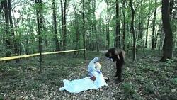 Crime scene investigation Stock Footage