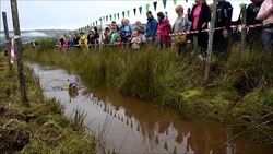 CLEAN : Britain hosts battle for bog snorkelling world championship News Clip