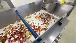 Haribo sweets on production line News Clip