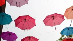 Umbrellas Stock Footage