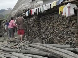 WS man and women stacking firewood / Xam Neua, Laos Stock Footage