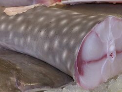 ECU PAN Chopped up whale shark meat at fish market / Brunei, Brunei Darussalam Stock Footage