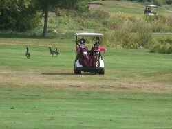 Mackinac lawn 3 - HD 1080/60i Stock Footage