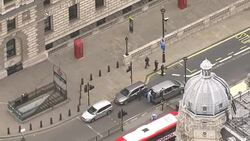 Terror suspect escorted into a police vehicle after being arrested on Whitehall News Clip