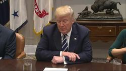 Trump Convenes Experts on Prison System Overhaul News Clip