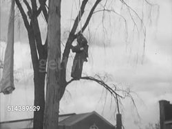 1953: YALE UNIVERSITY AIR FORCE TRAINING UNIT: VS Yale University students in uniform sitting outside during lecture, U.S. Air Force personnel demonstrating how to escape from parachute caught in tree, instructor igniting flare, gas. Instructional Video