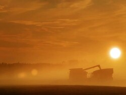 Farming under a golden sun Stock Footage