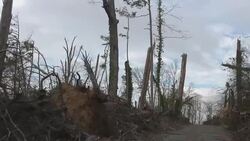 Tornado Aftermath Stock Footage