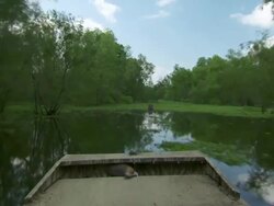 MS POV Airboat speeding on Atchafalaya Basin swamp / Atchafalaya Basin, Louisiana, United States Stock Footage